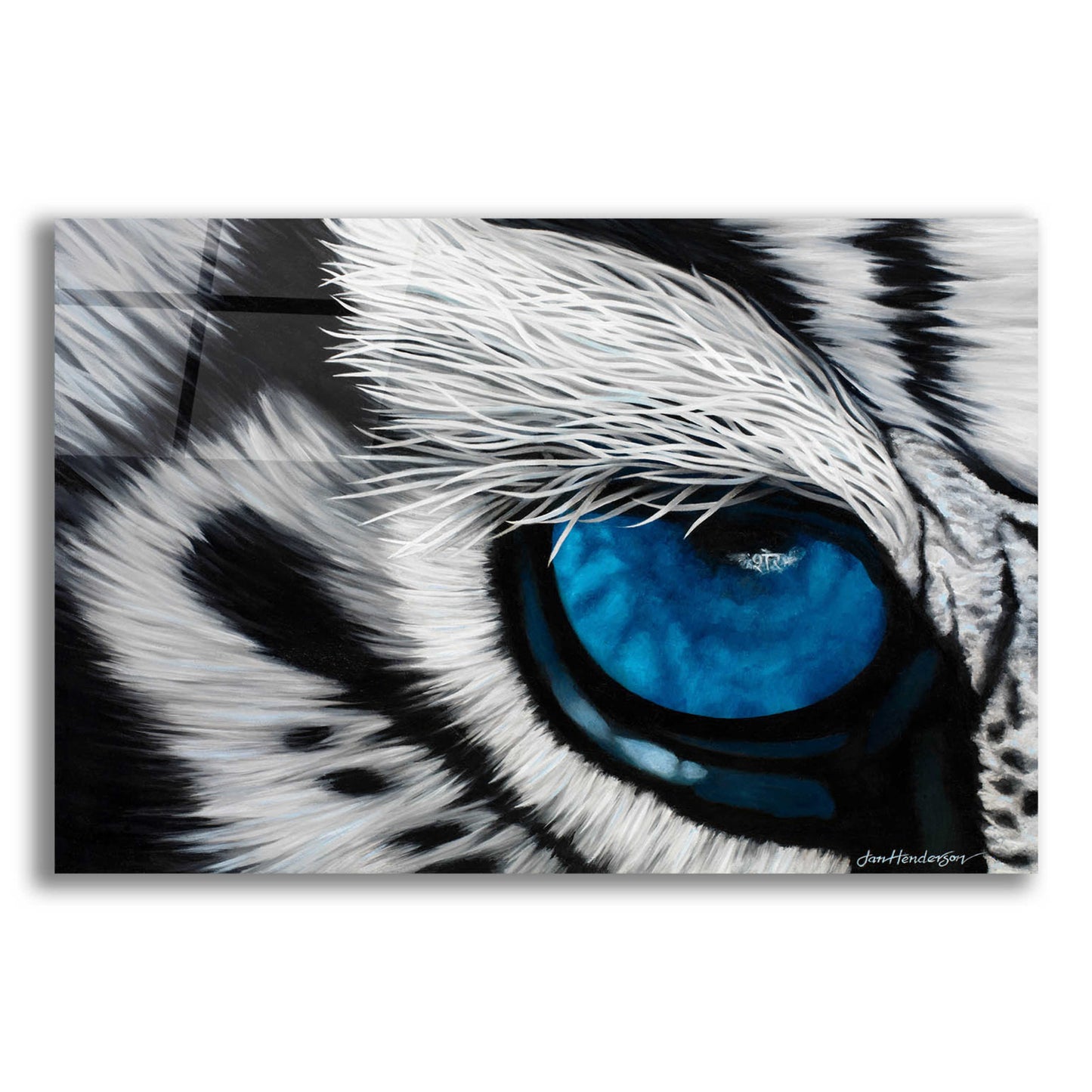 Epic Art 'Tiger Eye' by Jan Henderson, Acrylic Glass Wall Art,16x12