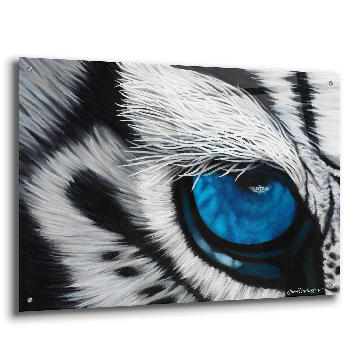 Epic Art 'Tiger Eye' by Jan Henderson, Acrylic Glass Wall Art,36x24