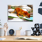 Lioness by Ata Alishahi - 16x12 acrylic wall art in a room