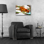 Lioness by Ata Alishahi - 24x16 acrylic wall art in a room