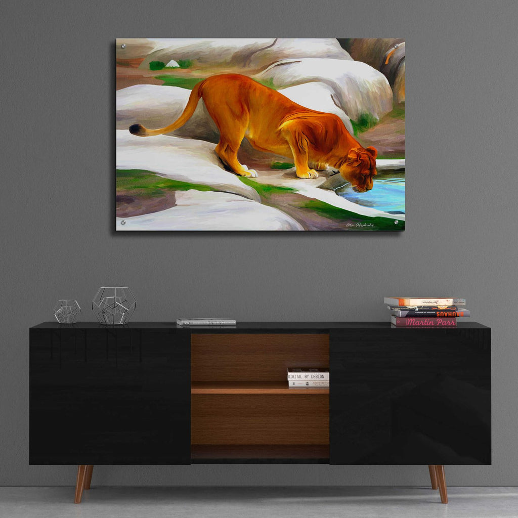 Lioness by Ata Alishahi - 36x24 acrylic wall art in a room