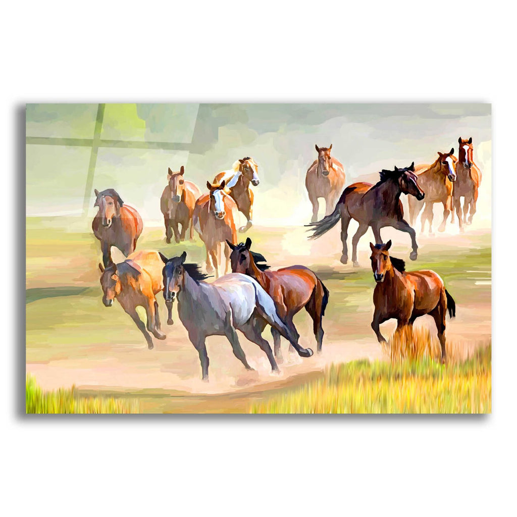 Wild Horses Running by Ata Alishahi acrylic glass wall art