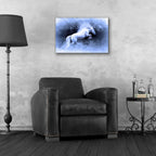 White Horse by Ata Alishahi - 24x16 acrylic wall art in a room