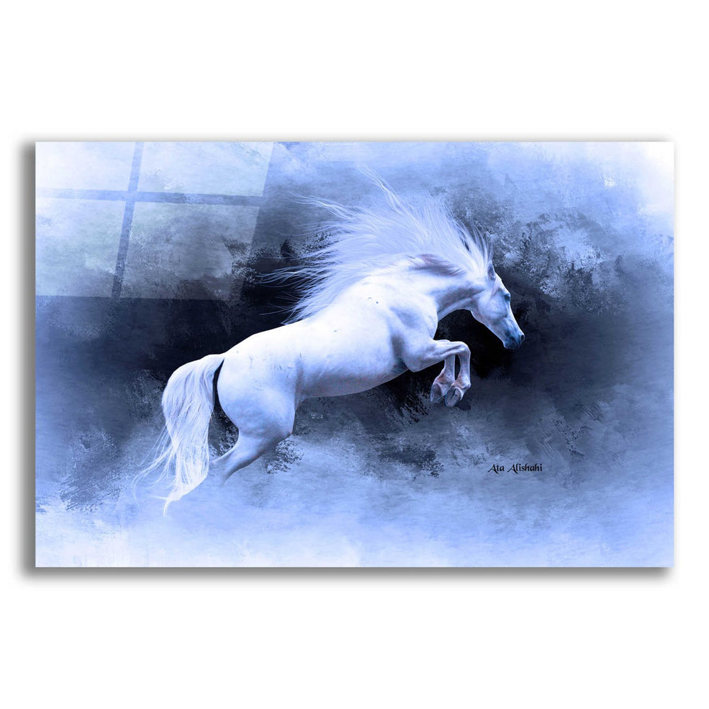 White Horse by Ata Alishahi acrylic glass wall art
