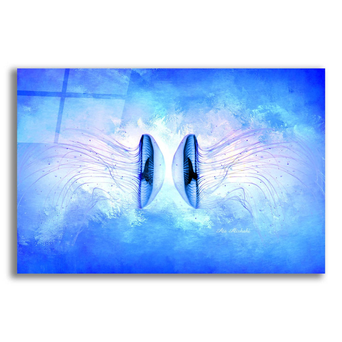 Ocean Life by Ata Alishahi acrylic glass wall art
