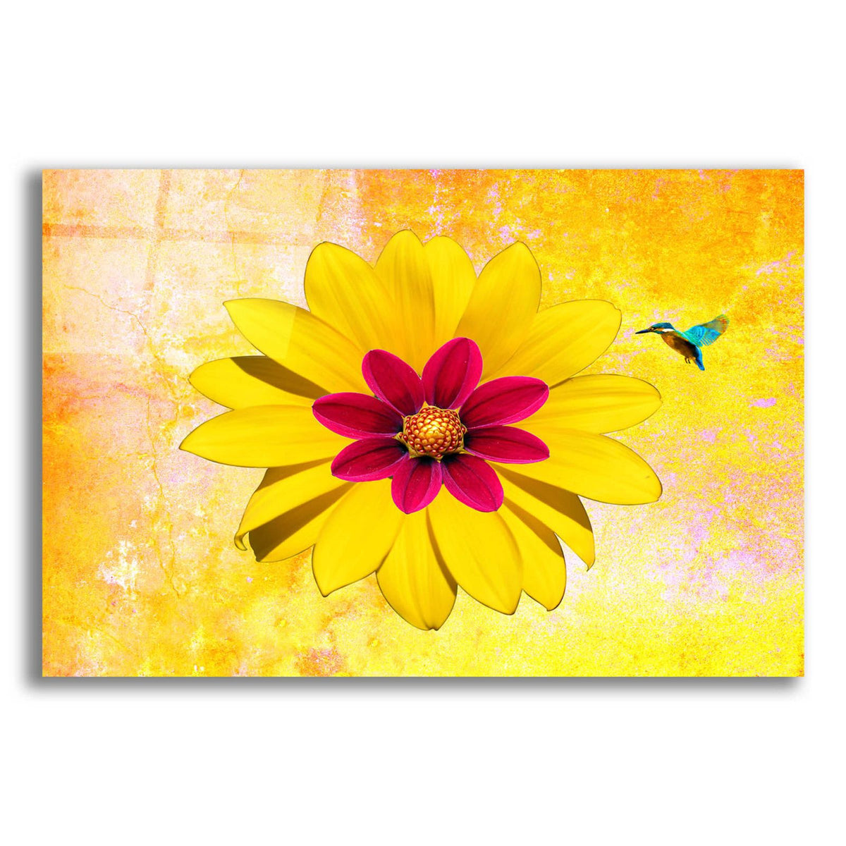 Flower and Bird by Ata Alishahi acrylic glass wall art