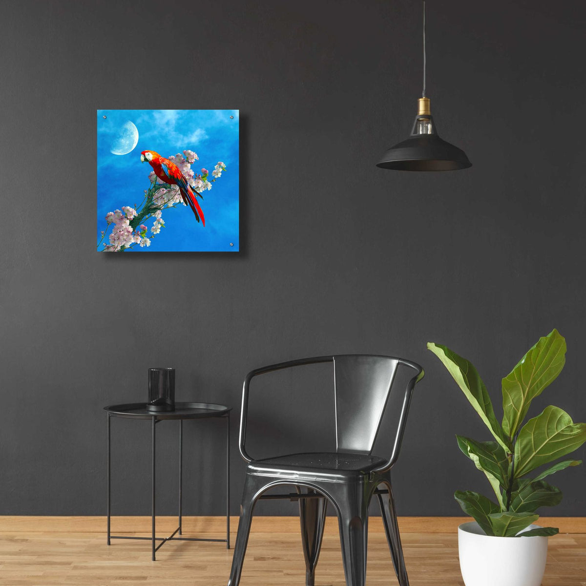 Red Parrot by Ata Alishahi - 24x24 acrylic wall art in a room