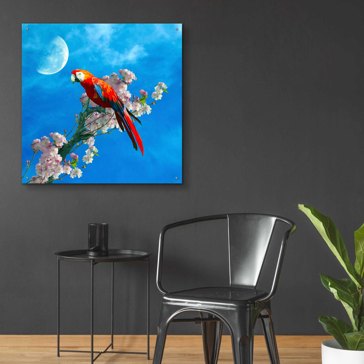 Red Parrot by Ata Alishahi - 36x36 acrylic wall art in a room