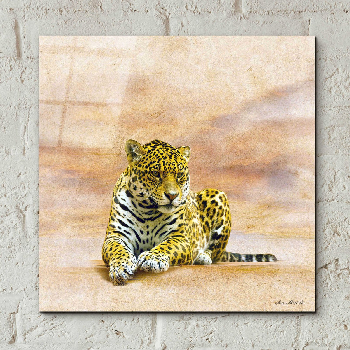 The Leopard 2A by Ata Alishahi - 12x12 acrylic wall art in a room