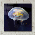 No Way by Ata Alishahi - 12x12 acrylic wall art in a room