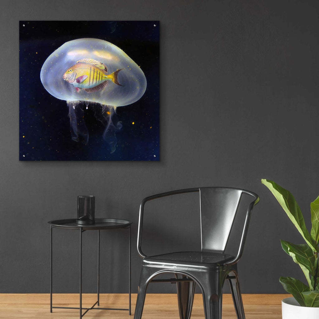 No Way by Ata Alishahi - 36x36 acrylic wall art in a room