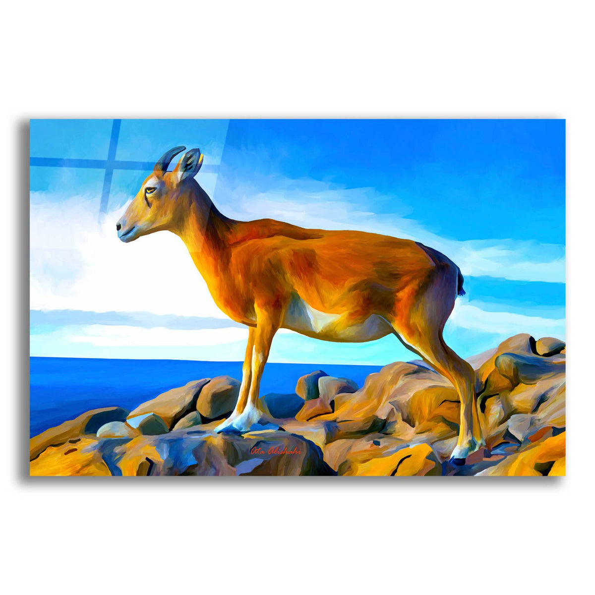 Wild Life 2 by Ata Alishahi acrylic glass wall art