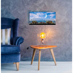 Nature Collection 9 by Ata Alishahi - 24x12 acrylic wall art in a room