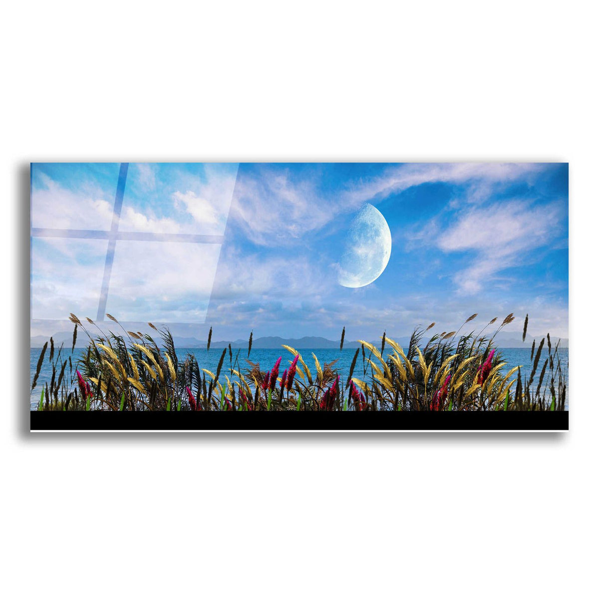 Nature Collection 9 by Ata Alishahi acrylic glass wall art