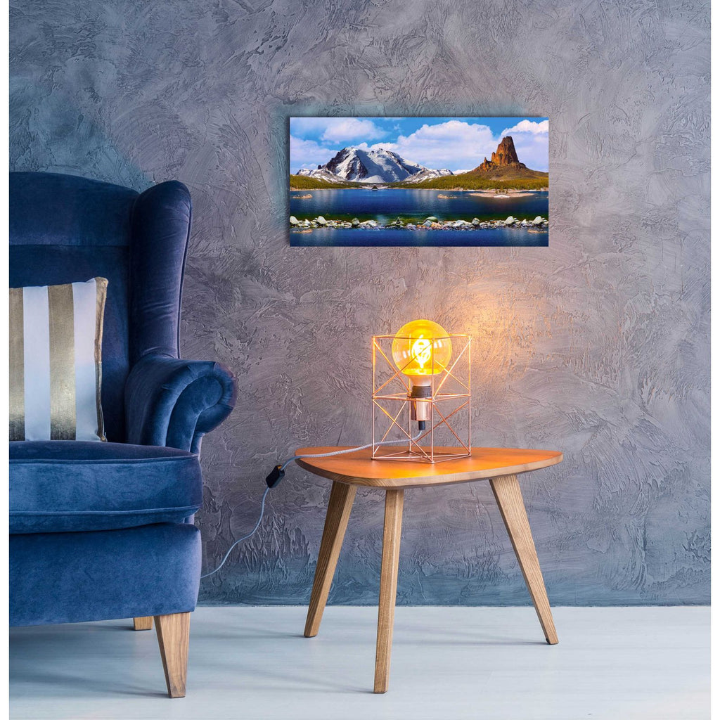 Nature Collection 11 by Ata Alishahi - 24x12 acrylic wall art in a room