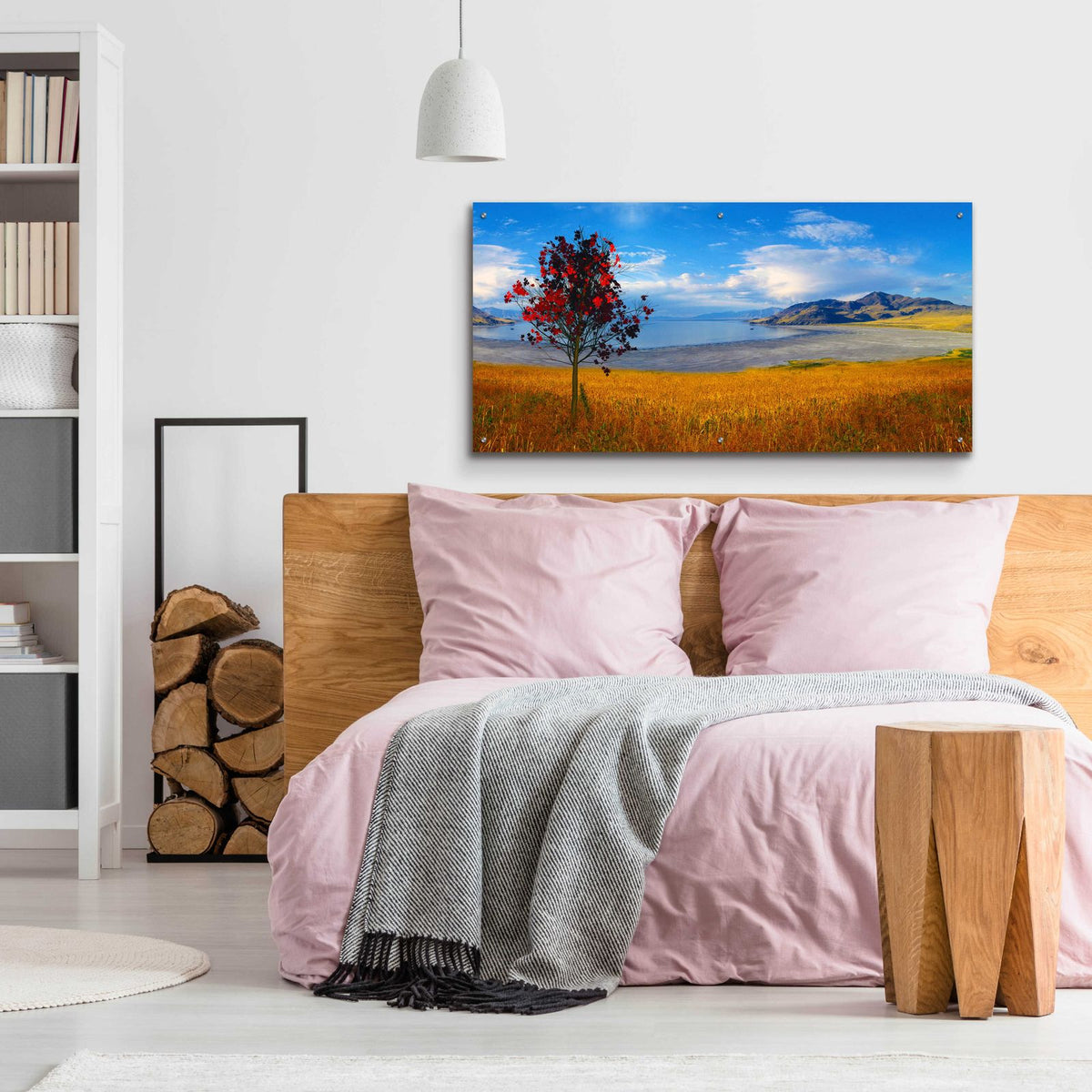 Nature Collection 19 by Ata Alishahi - 48x24 acrylic wall art in a room