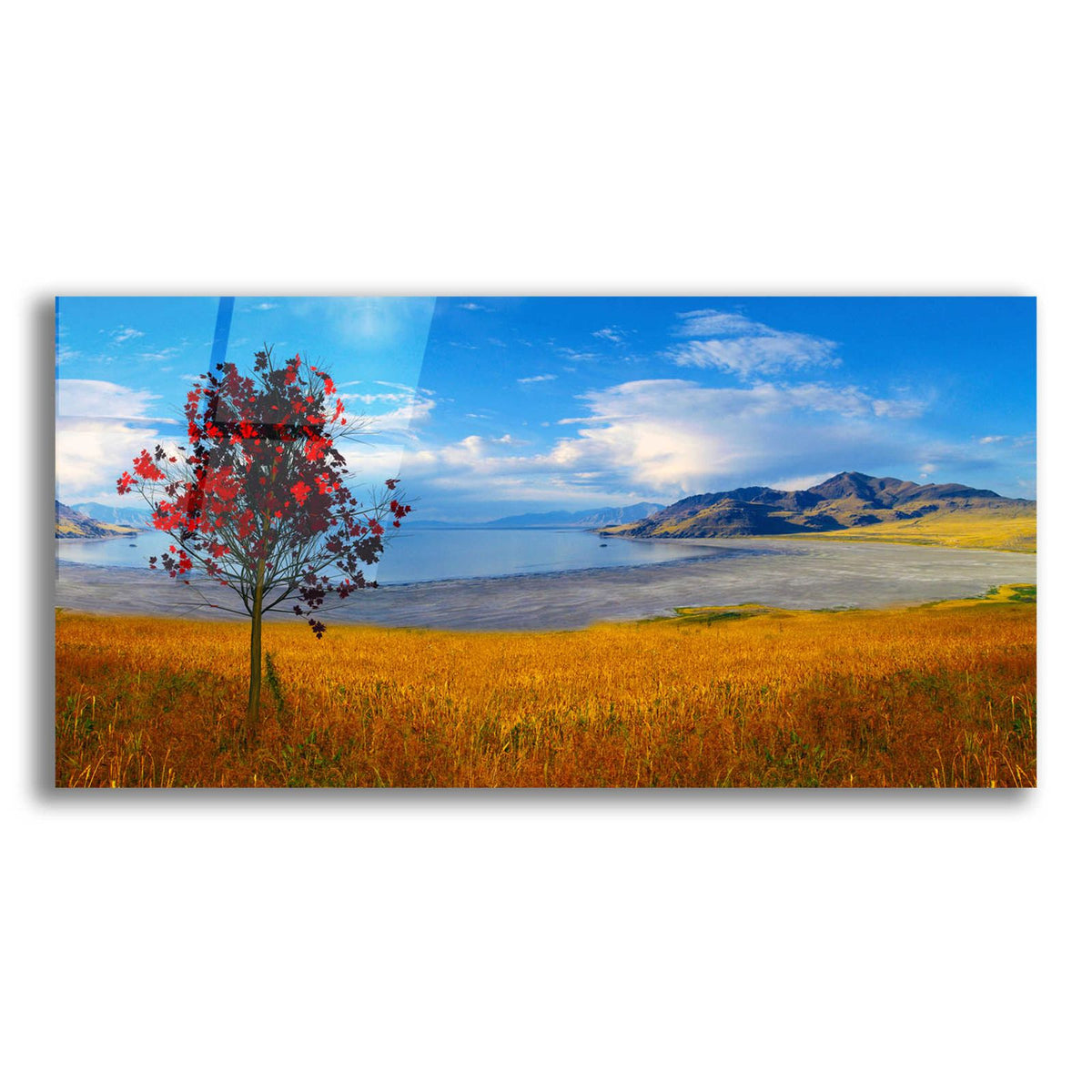 Nature Collection 19 by Ata Alishahi acrylic glass wall art