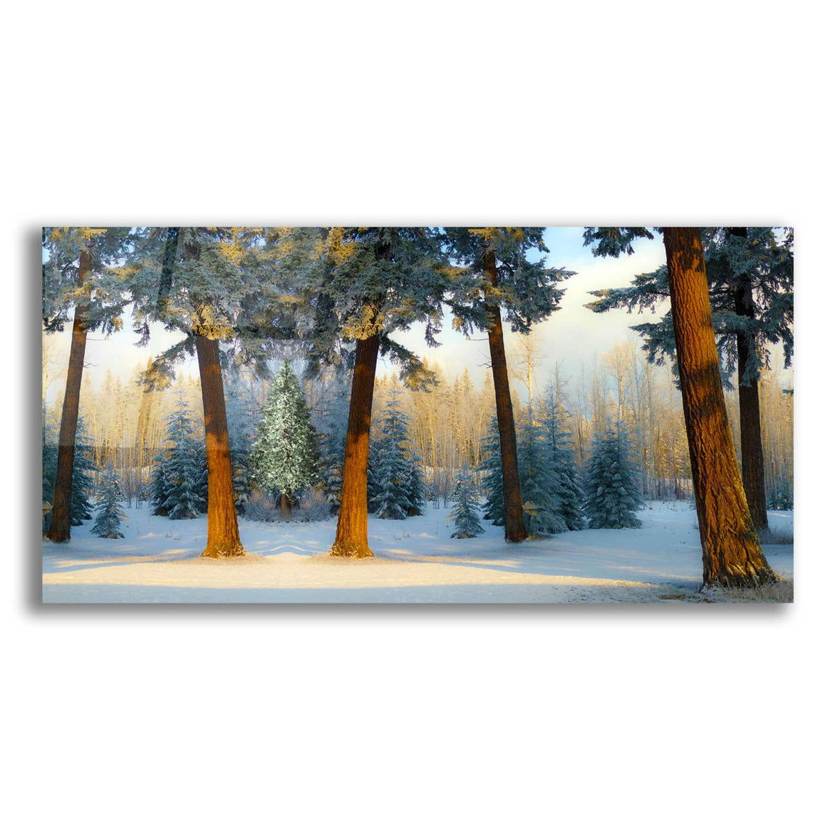 Nature Collection 23 by Ata Alishahi acrylic glass wall art