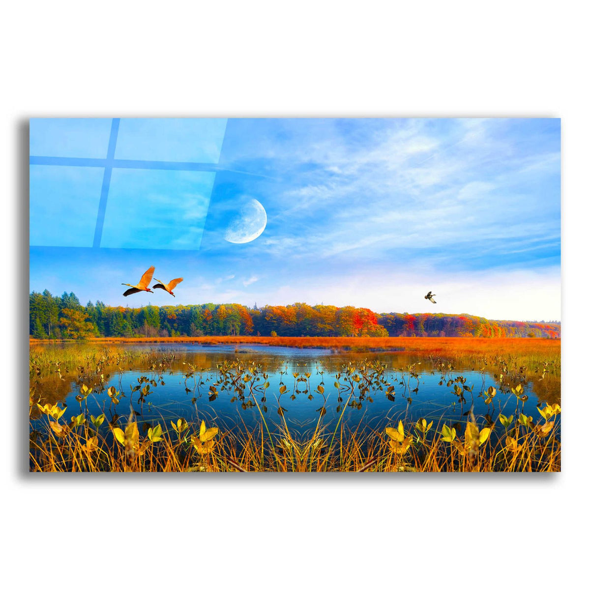 Nature Collection 40 by Ata Alishahi acrylic glass wall art