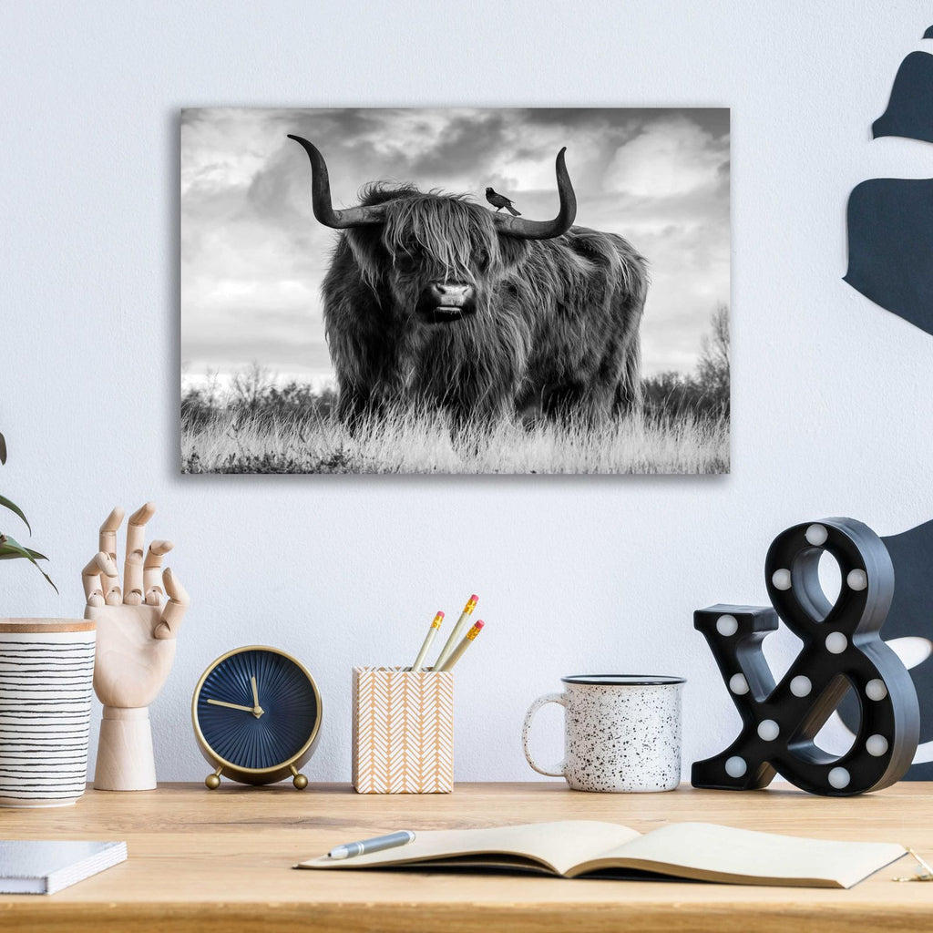 A Bull by Ata Alishahi - 16x12 acrylic wall art in a room