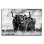 A Bull by Ata Alishahi acrylic glass wall art