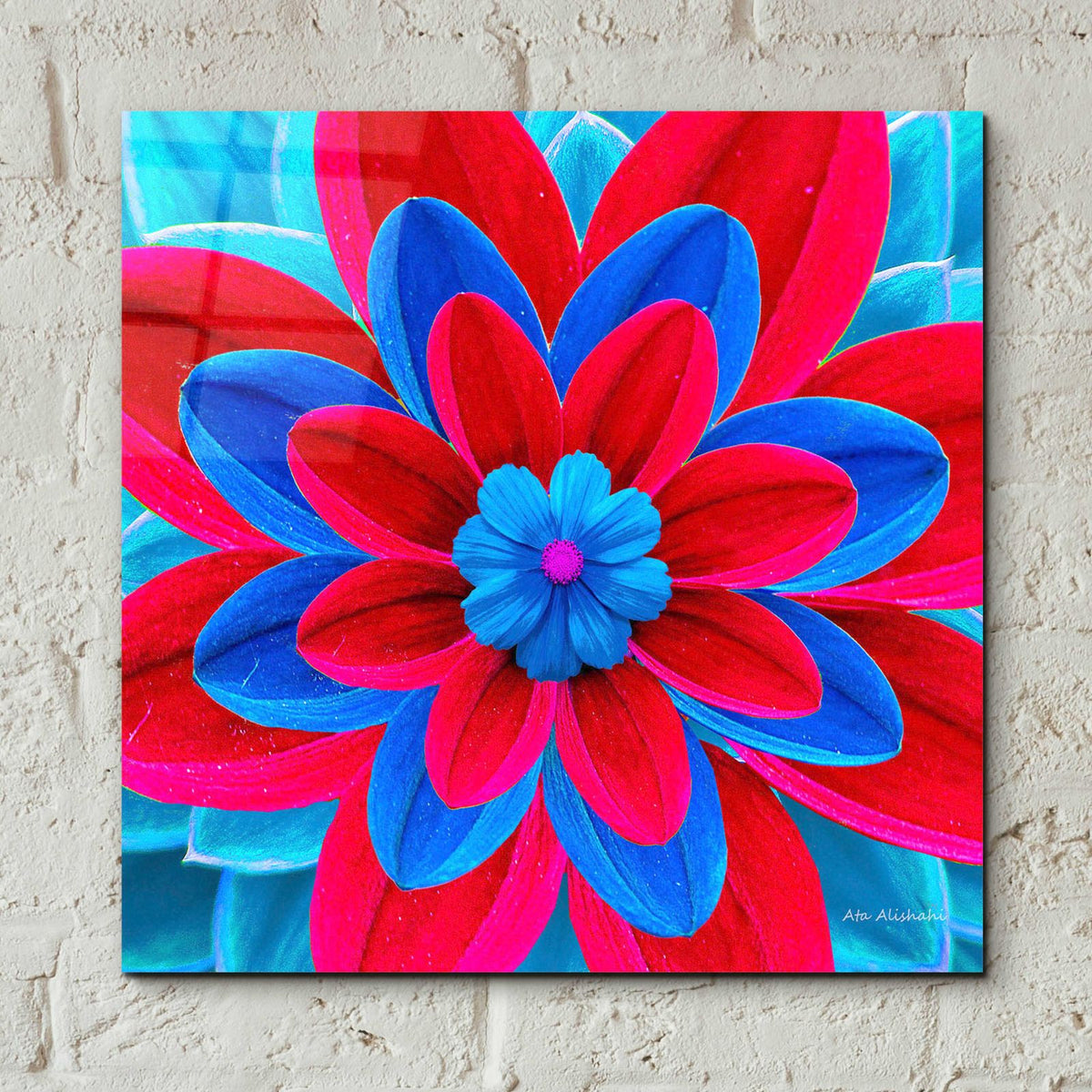 The Color Treasure 25 by Ata Alishahi - 12x12 acrylic wall art in a room