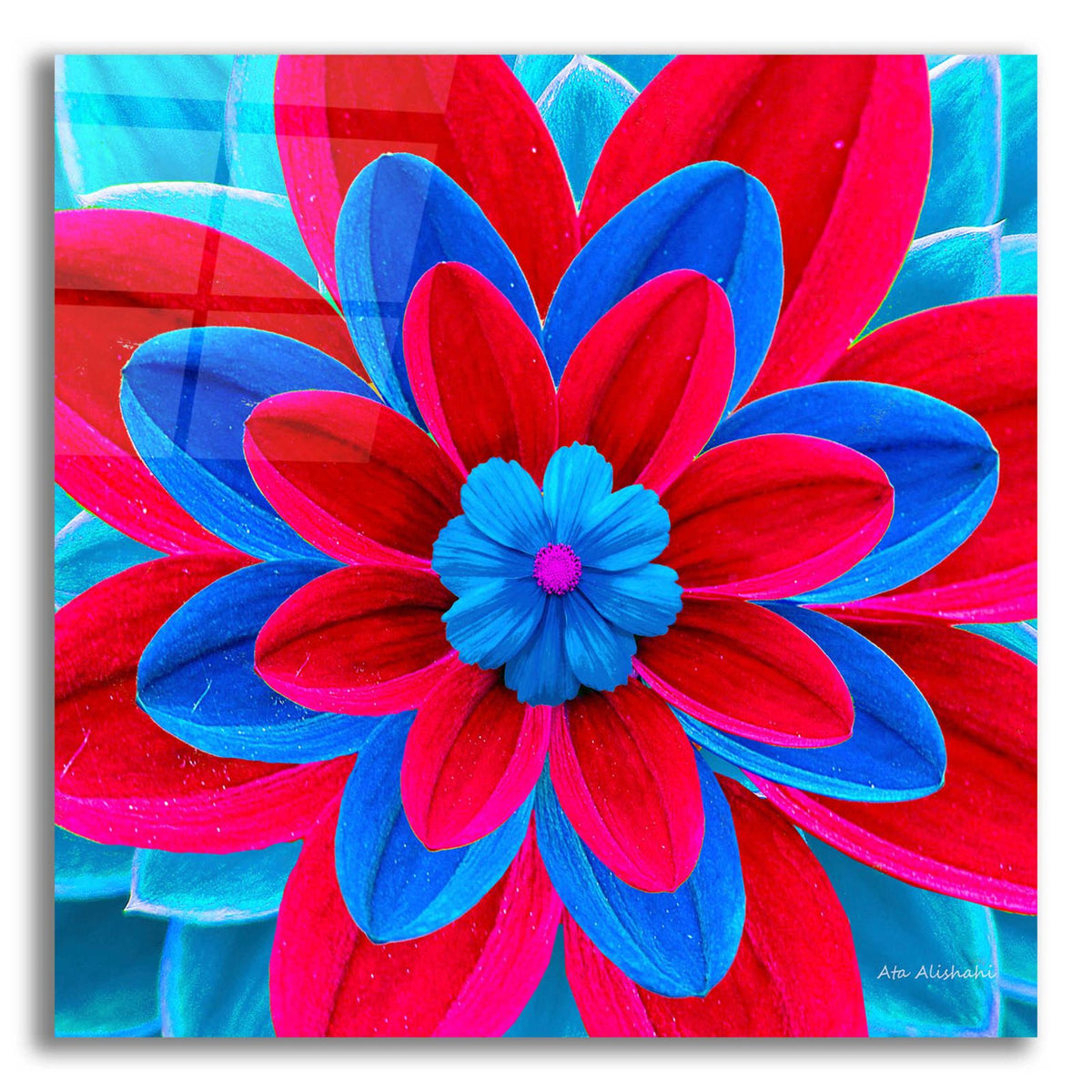 The Color Treasure 25 by Ata Alishahi acrylic glass wall art