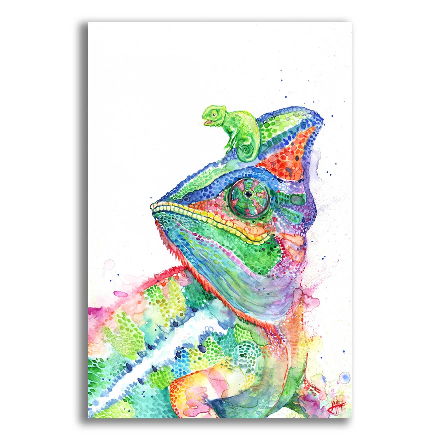 Epic Art 'Clutcha'Chameleons' by Marc Allante, Acrylic Glass Wall Art,12x16