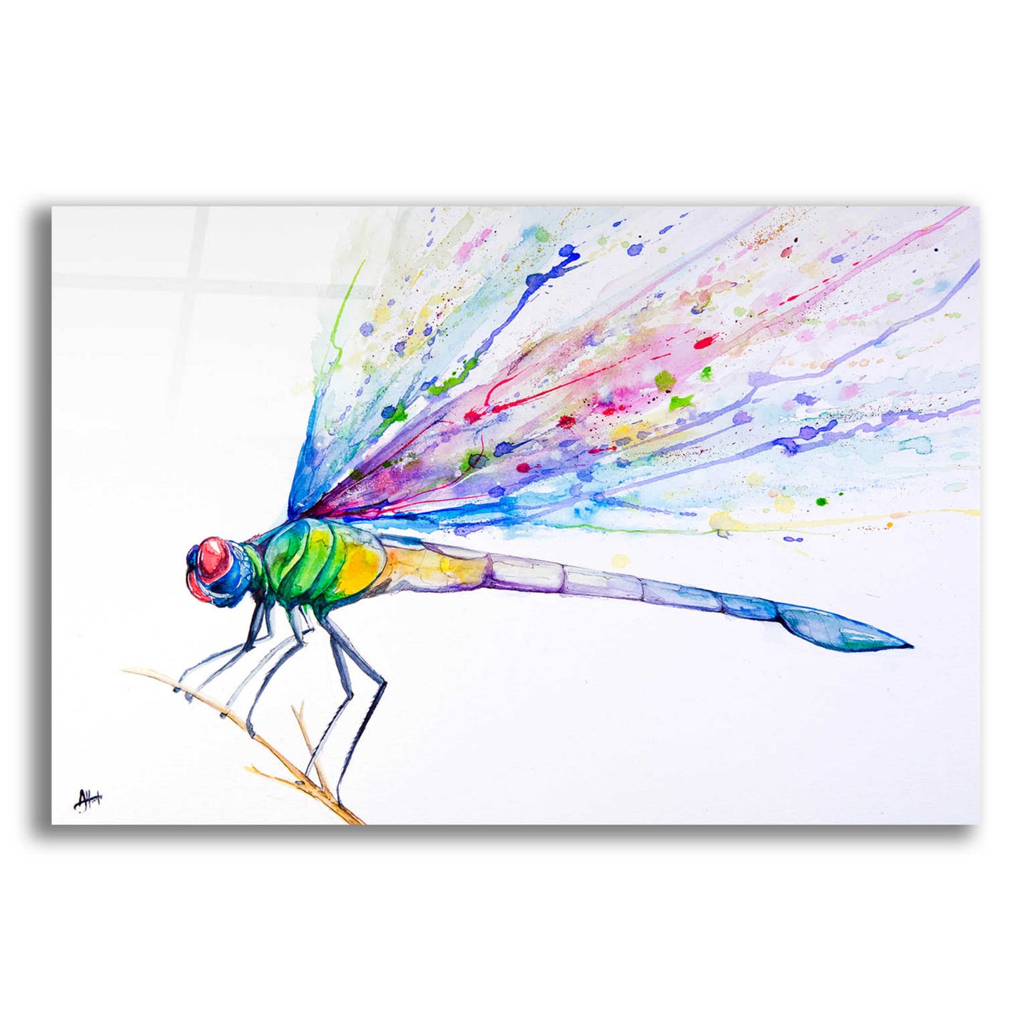 Epic Art 'Volant' by Marc Allante, Acrylic Glass Wall Art,16x12