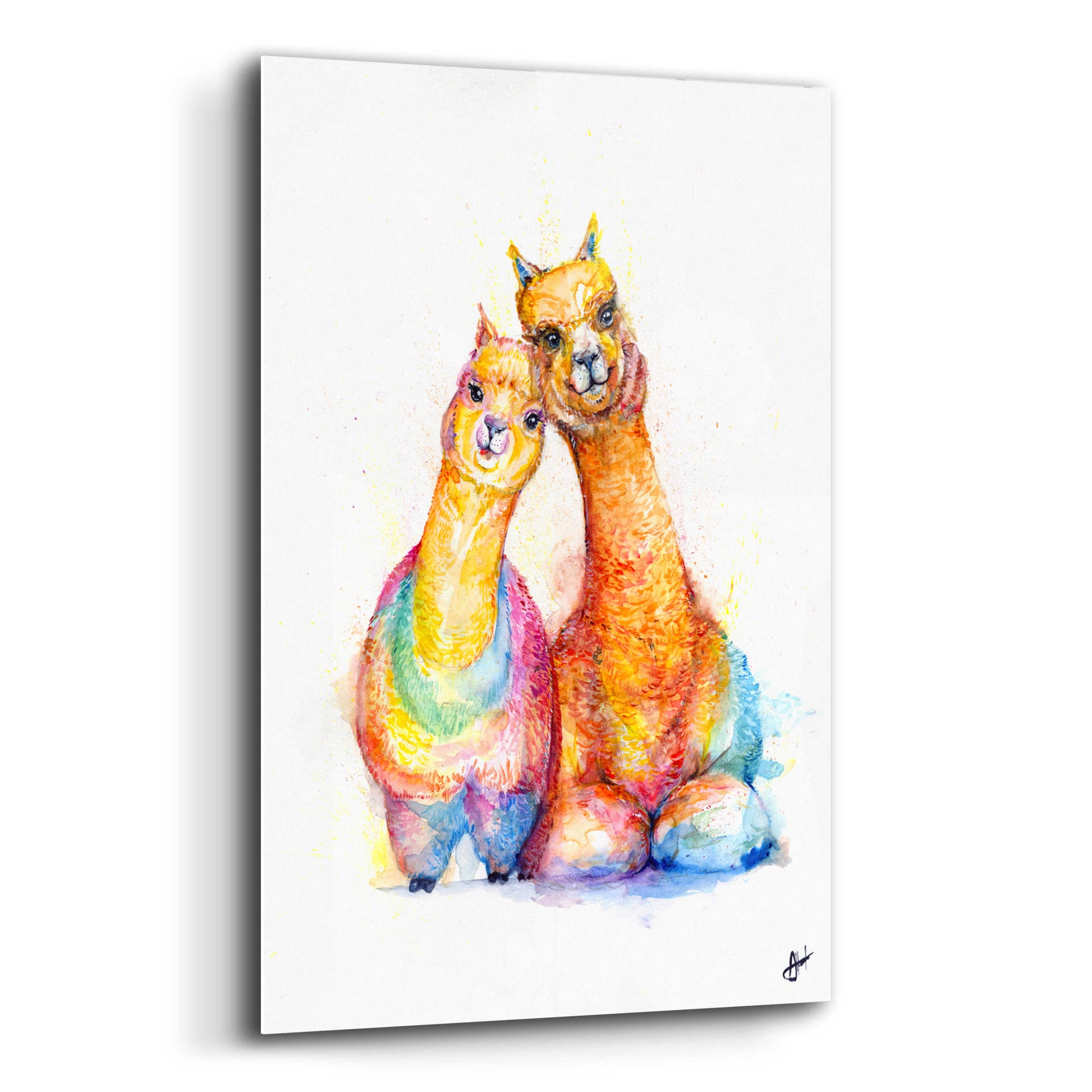 Epic Art 'Packa'Alpaca' by Marc Allante, Acrylic Glass Wall Art,12x16