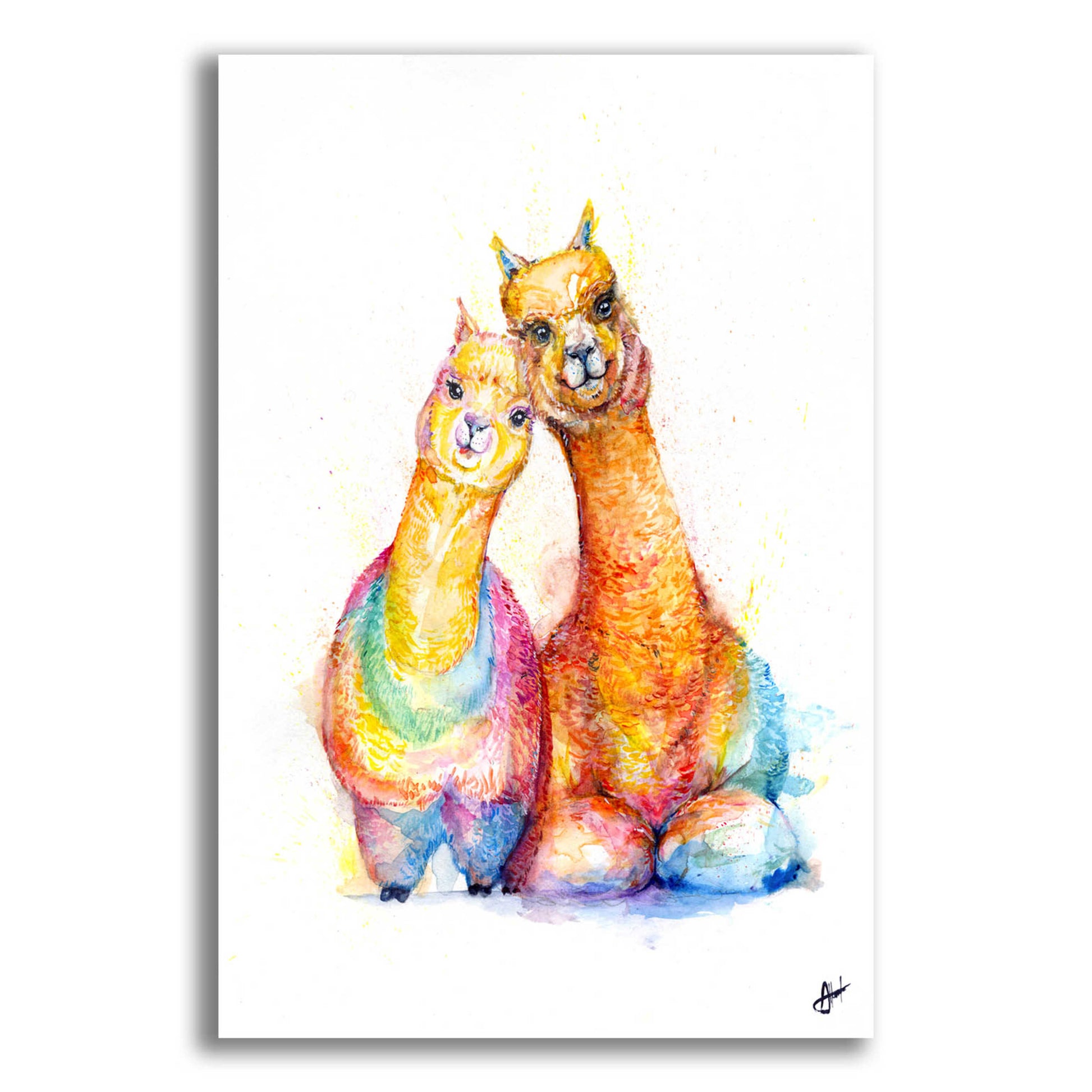 Epic Art 'Packa'Alpaca' by Marc Allante, Acrylic Glass Wall Art,16x24