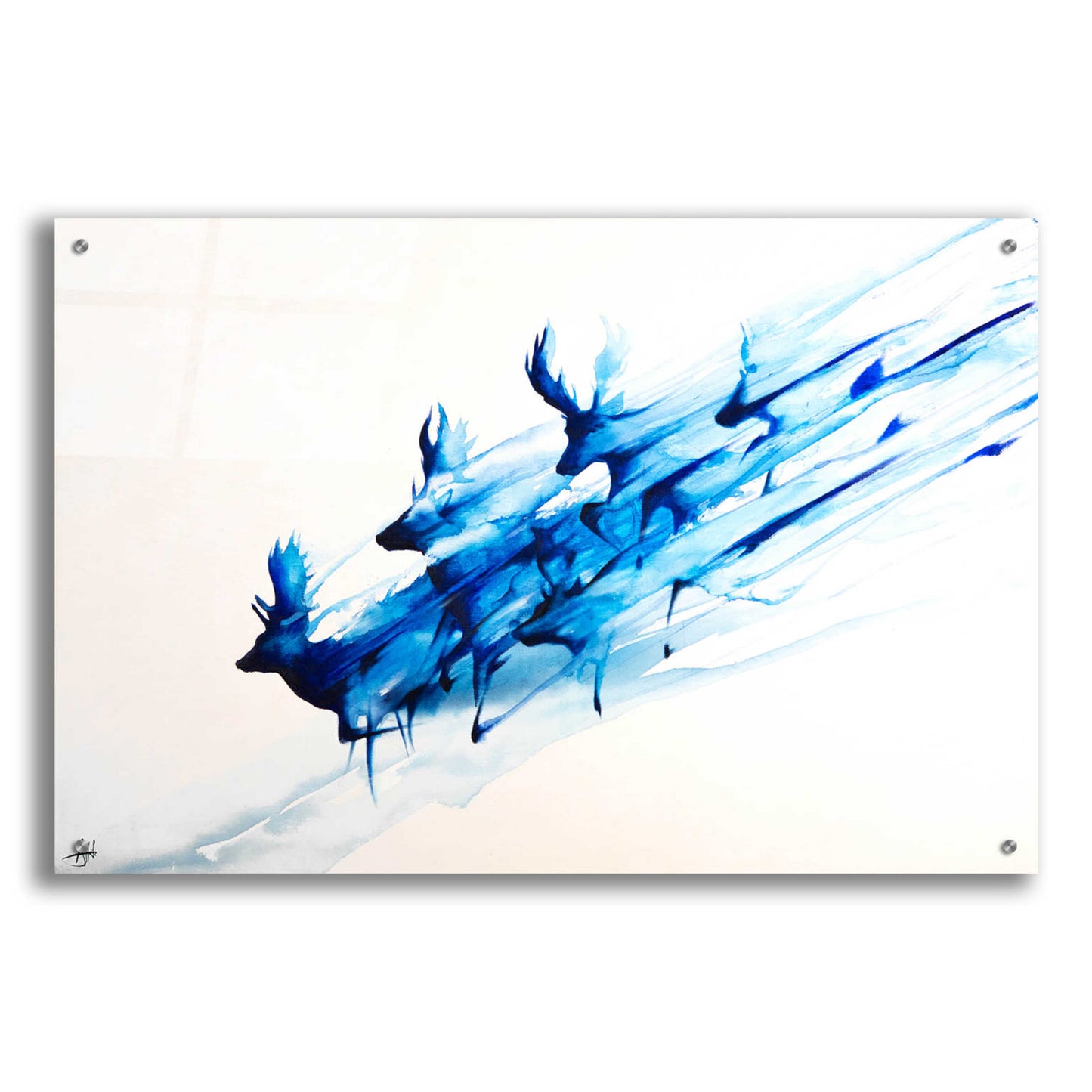 Epic Art 'Caligo' by Marc Allante, Acrylic Glass Wall Art,36x24