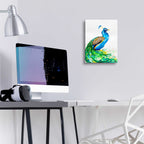 Epic Art 'Aphrodite' by Marc Allante, Acrylic Glass Wall Art,12x16