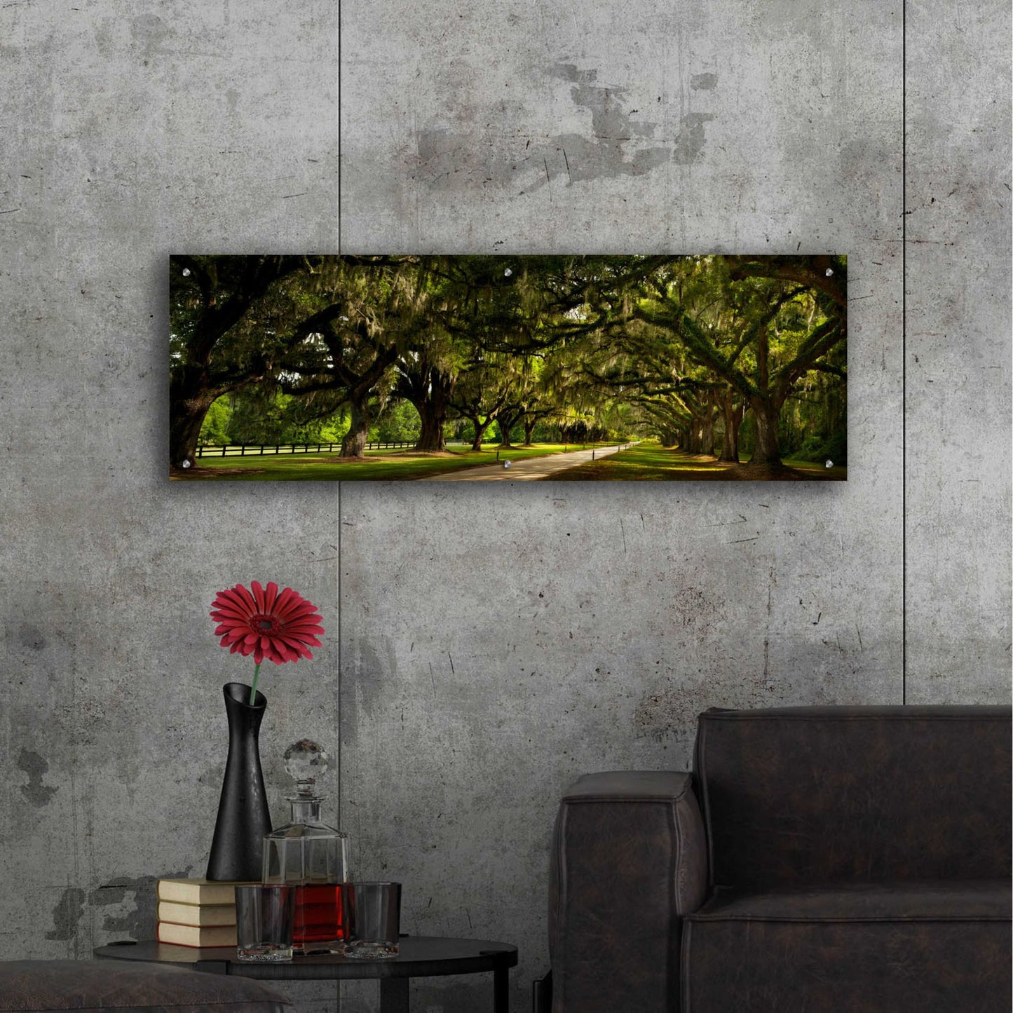 Epic Art 'Southern Canopy' by Natalie Mikaels, Acrylic Glass Wall Art,48x16