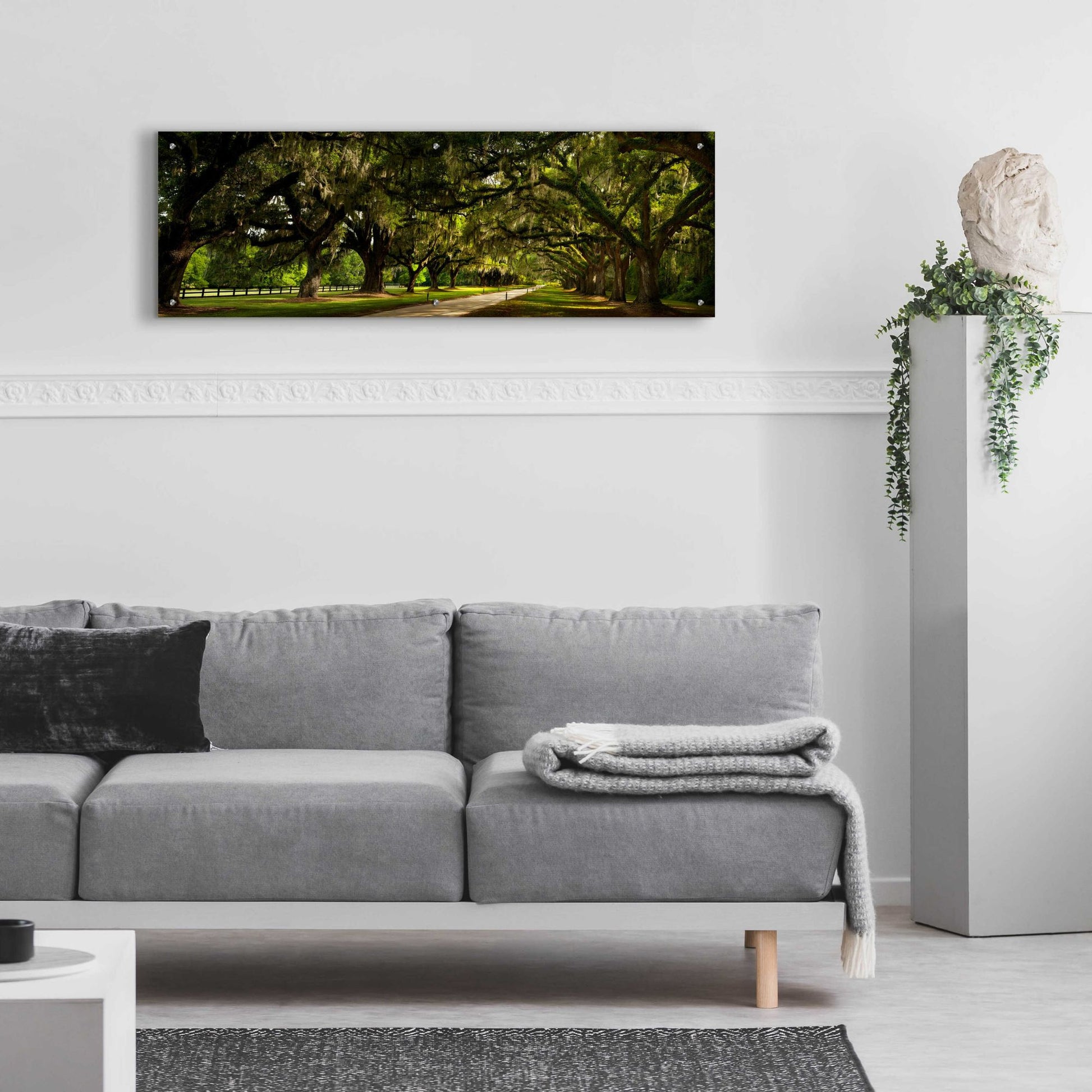 Epic Art 'Southern Canopy' by Natalie Mikaels, Acrylic Glass Wall Art,48x16