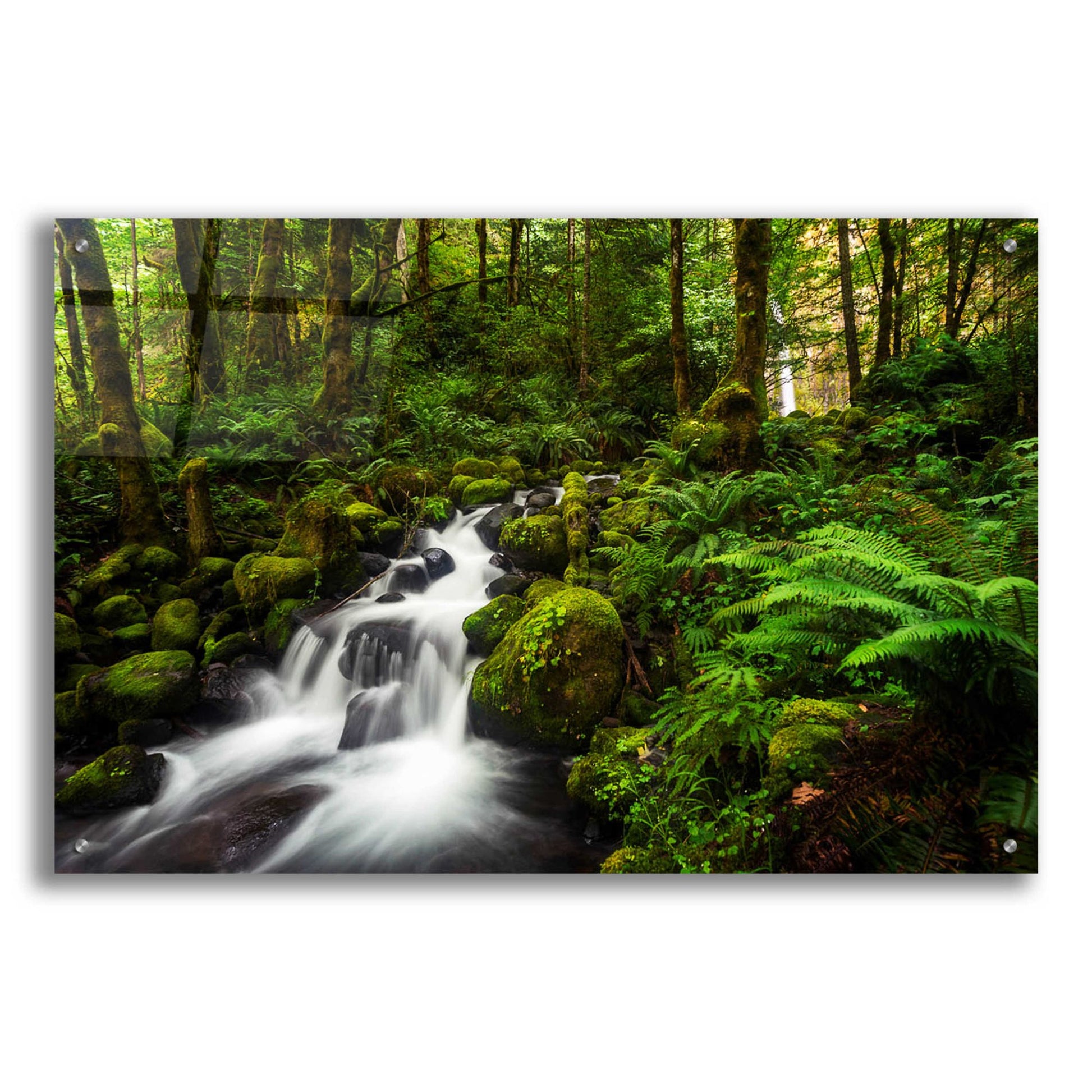 Epic Art 'Moment In Nature' by Natalie Mikaels, Acrylic Glass Wall Art,36x24