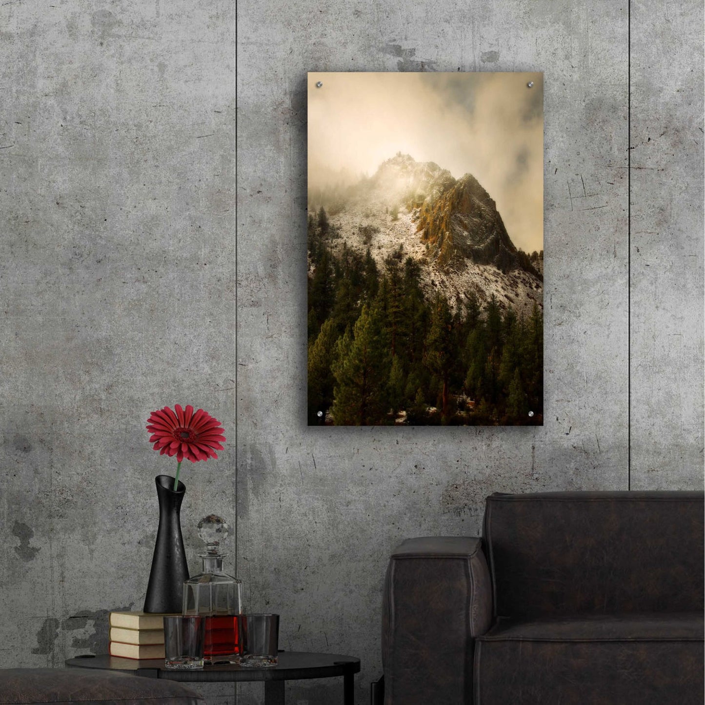 Epic Art 'Majestic Peak' by Natalie Mikaels, Acrylic Glass Wall Art,24x36