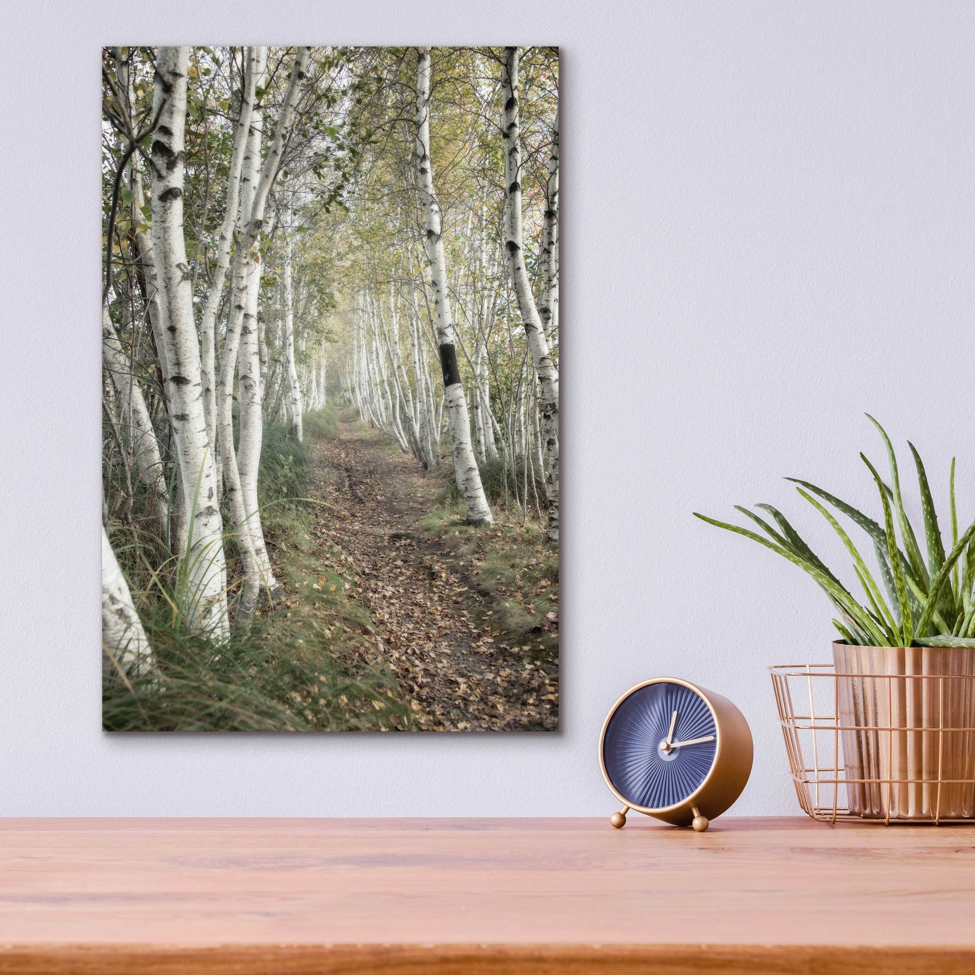 Epic Art 'Birch Trail' by Natalie Mikaels, Acrylic Glass Wall Art,12x16