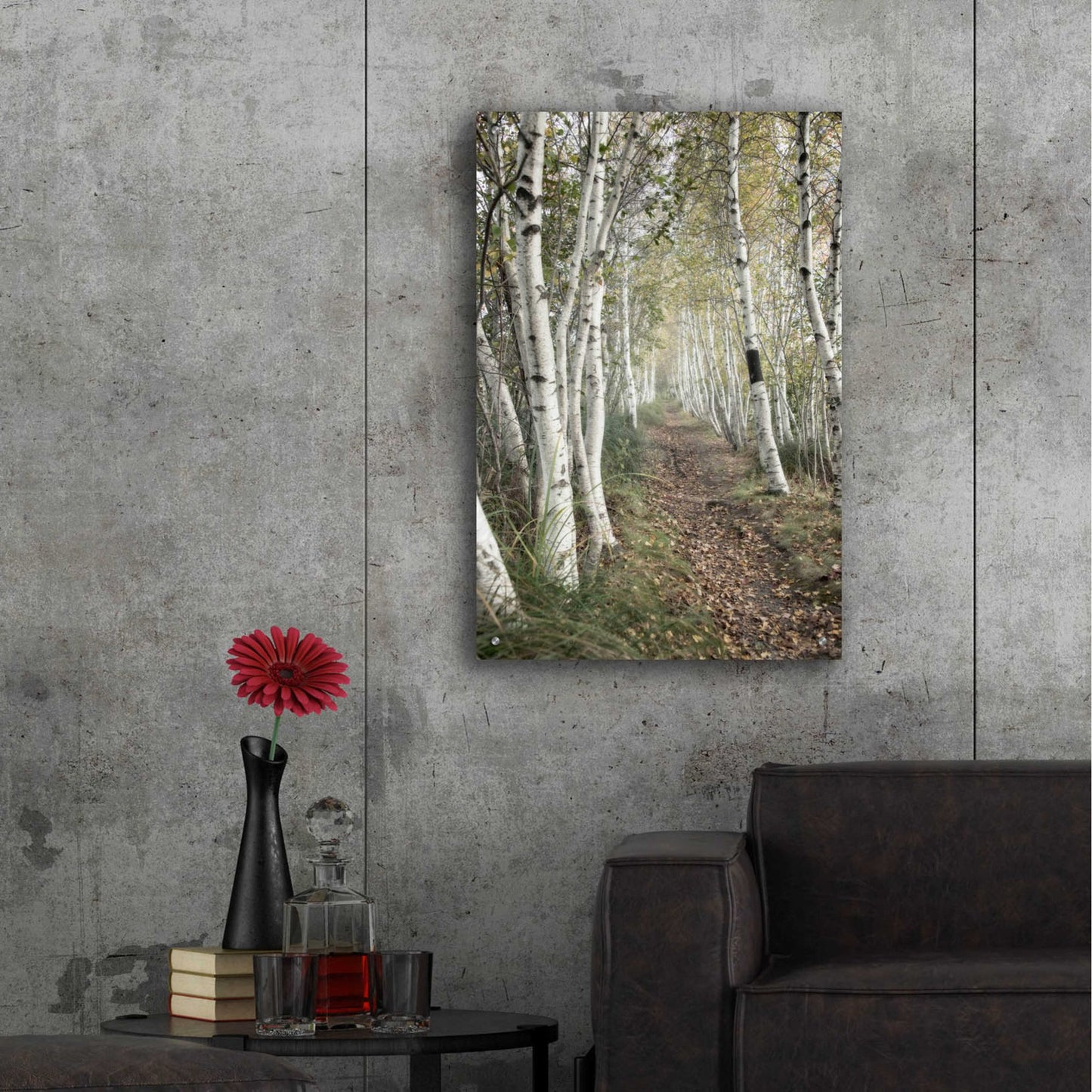 Epic Art 'Birch Trail' by Natalie Mikaels, Acrylic Glass Wall Art,24x36