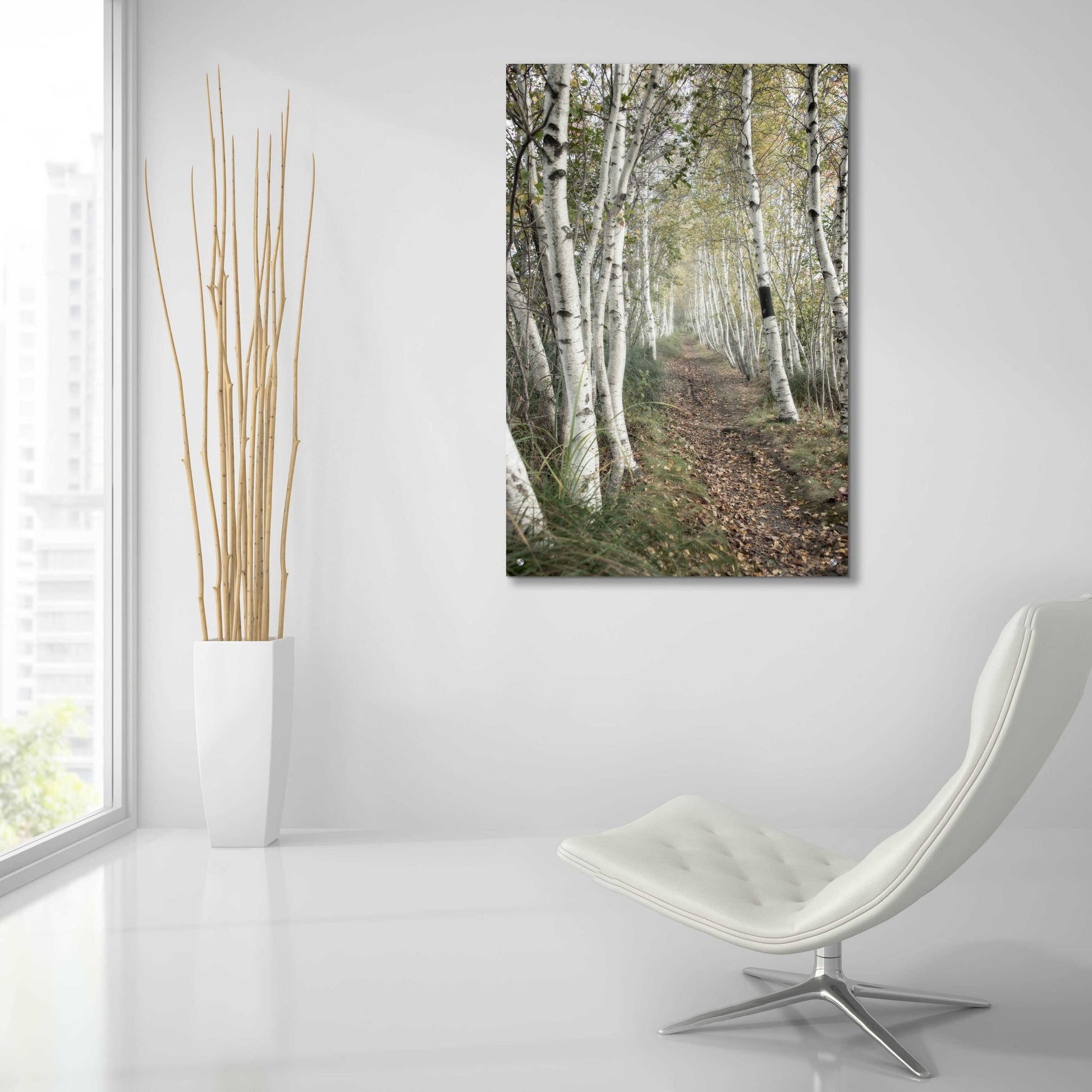 Epic Art 'Birch Trail' by Natalie Mikaels, Acrylic Glass Wall Art,24x36