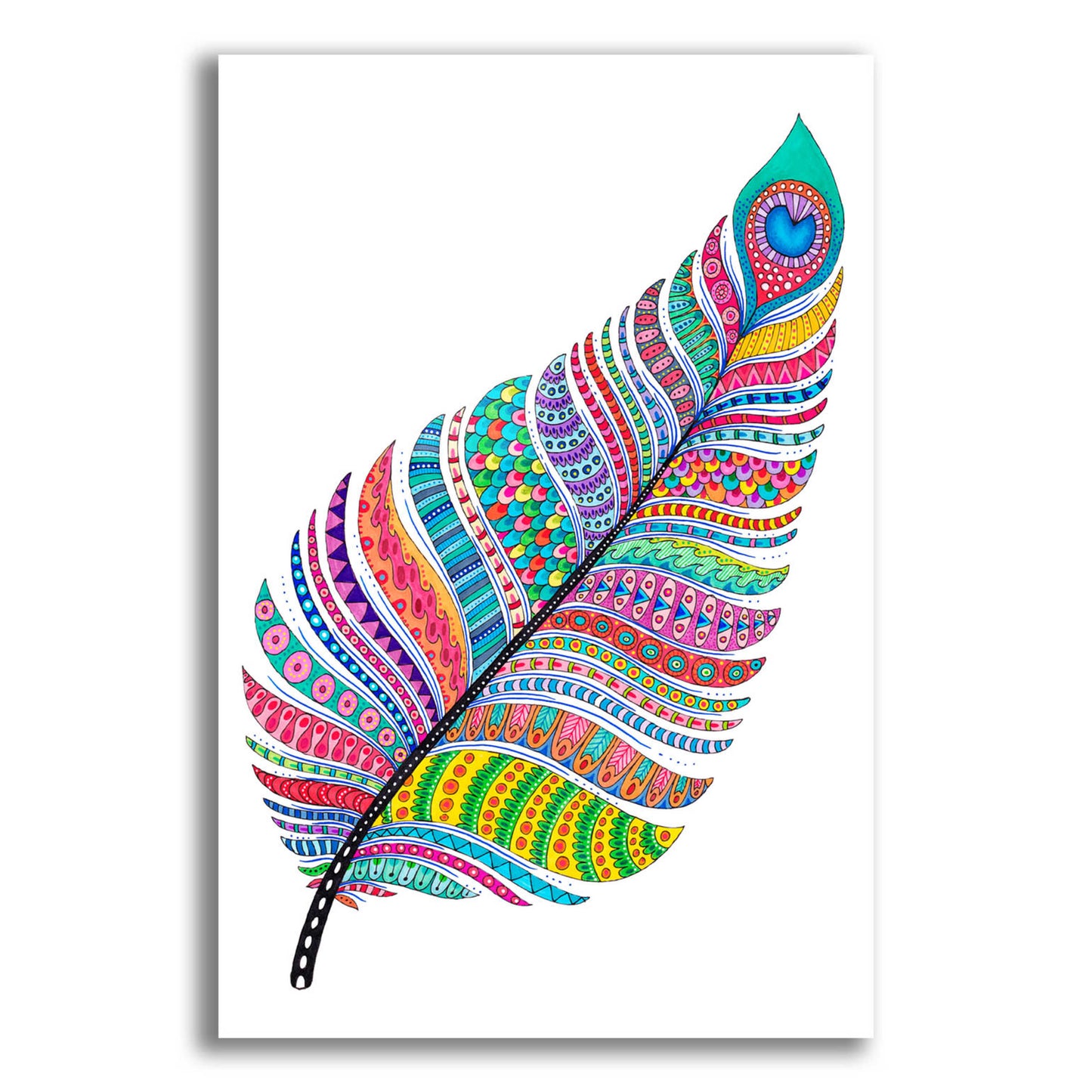 Epic Art 'Single Feather' by Hello Angel, Acrylic Glass Wall Art,12x16