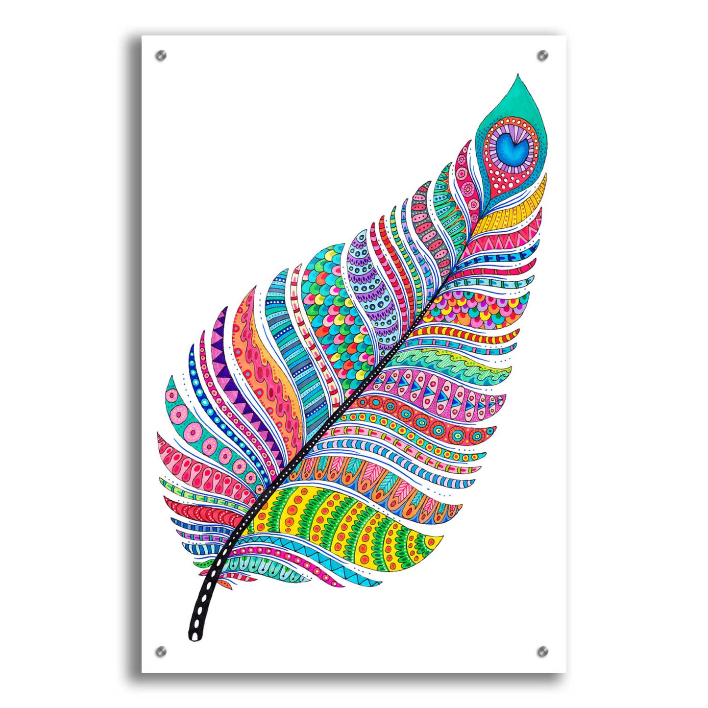 Epic Art 'Single Feather' by Hello Angel, Acrylic Glass Wall Art,24x36