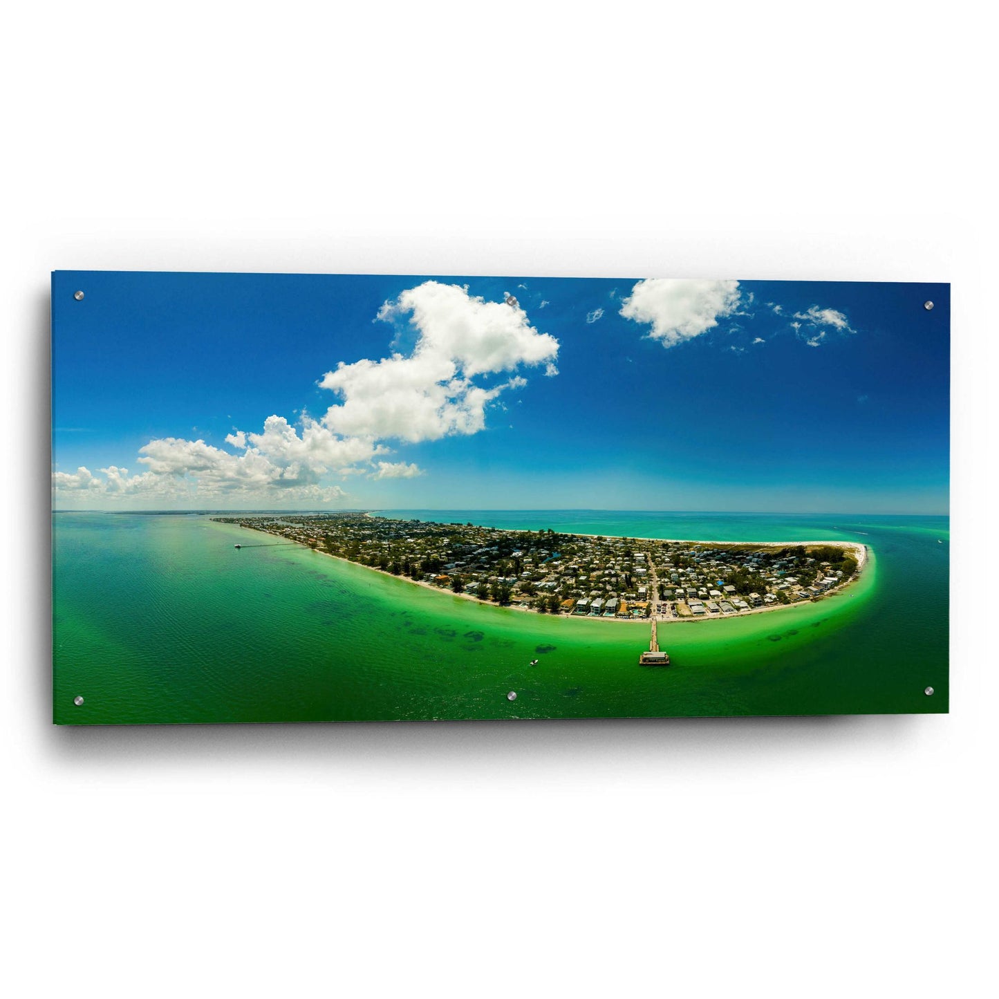 Epic Art 'Emerald Florida' by Epic Portfolio, Acrylic Glass Wall Art,48x24