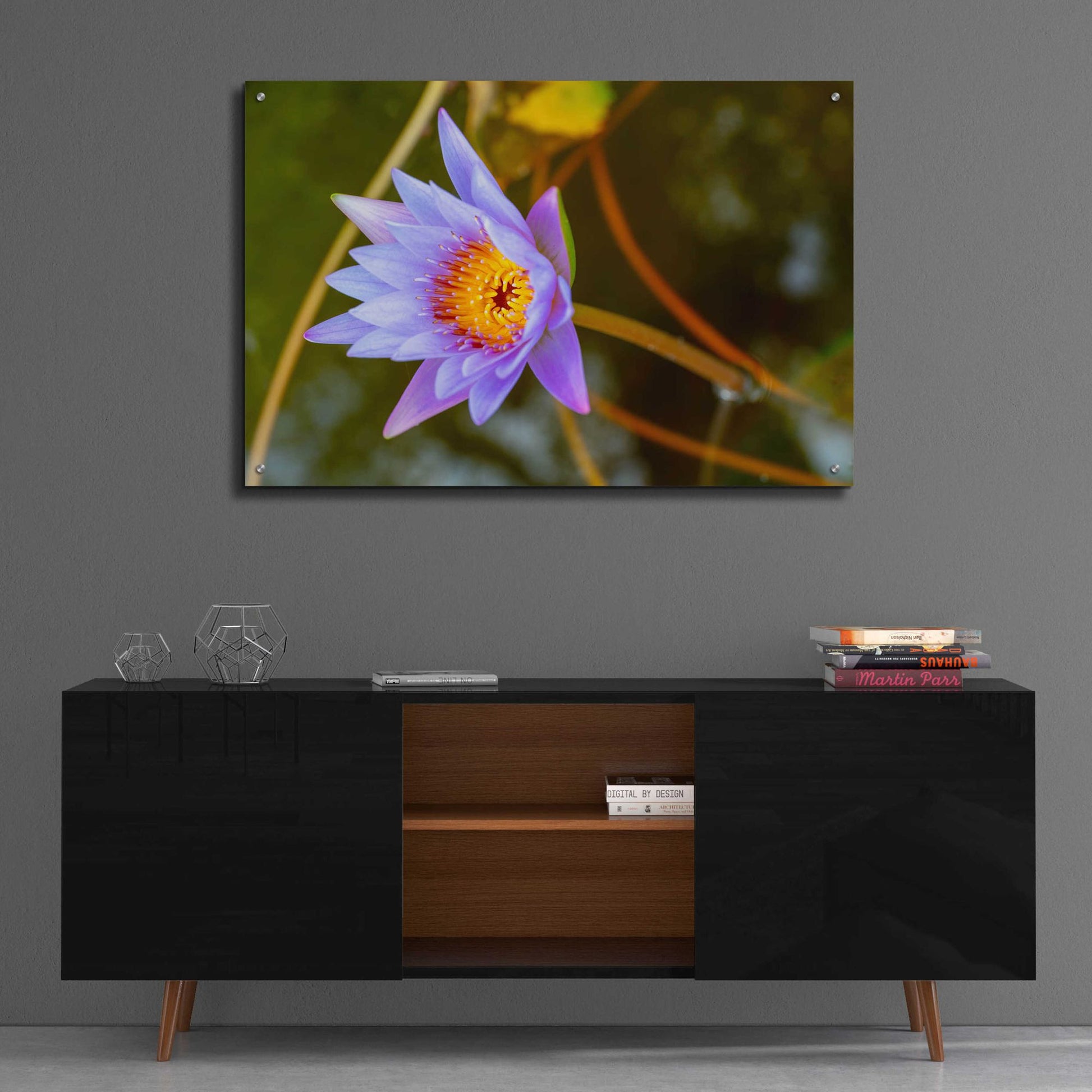 Epic Art 'Floral Color Theory' by Epic Portfolio, Acrylic Glass Wall Art,36x24