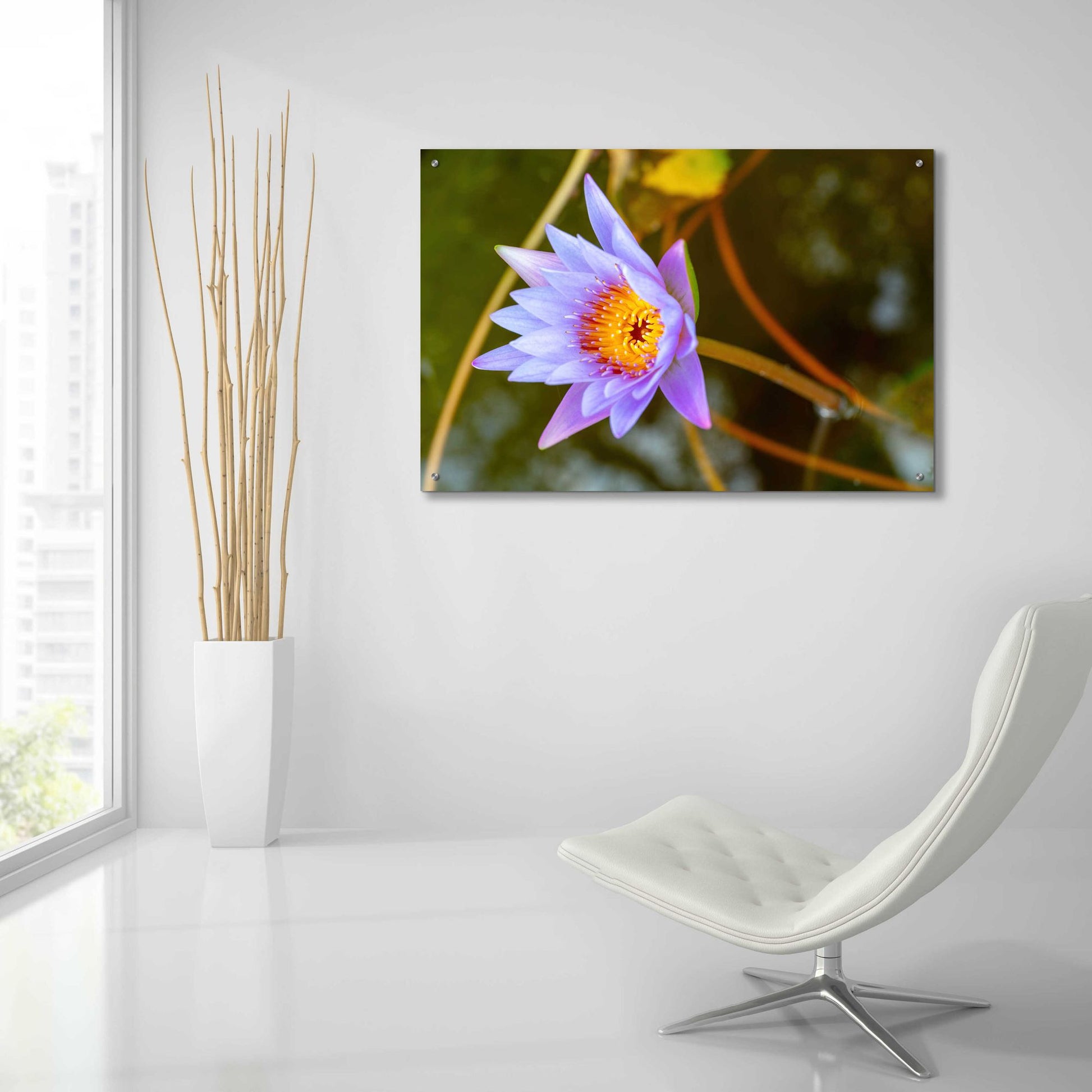 Epic Art 'Floral Color Theory' by Epic Portfolio, Acrylic Glass Wall Art,36x24