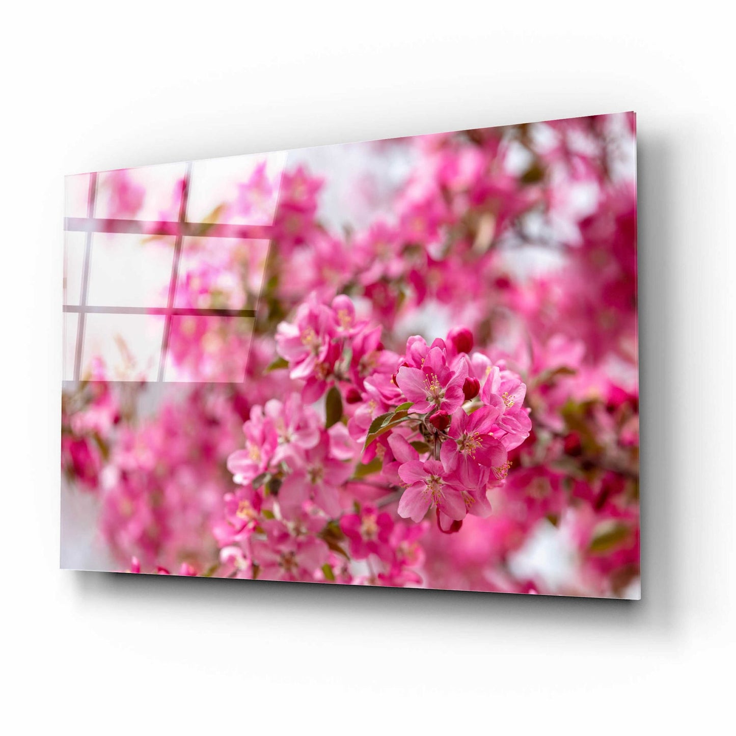 Epic Art 'Pink Floral' by Epic Portfolio, Acrylic Glass Wall Art,16x12