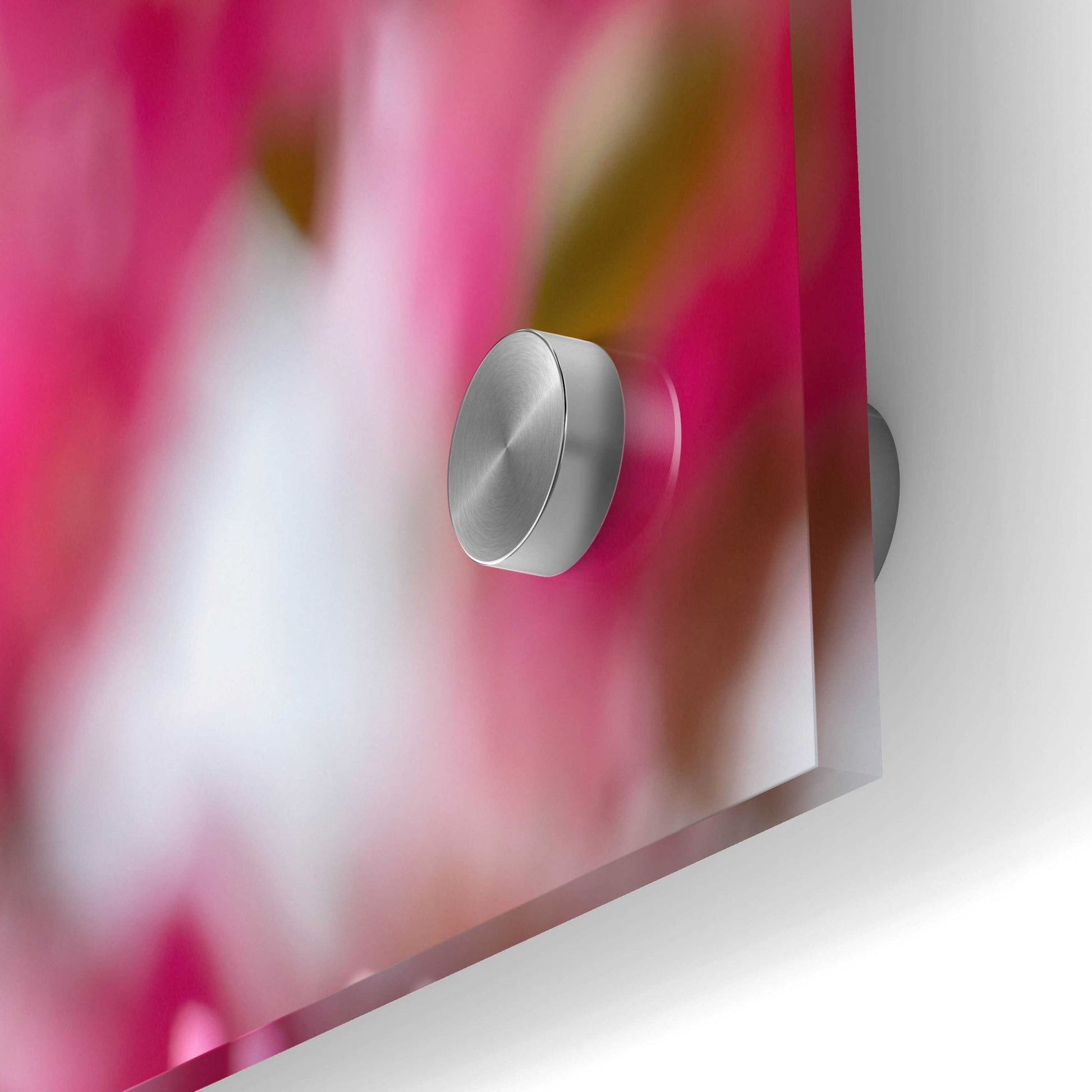 Epic Art 'Pink Floral' by Epic Portfolio, Acrylic Glass Wall Art,36x24