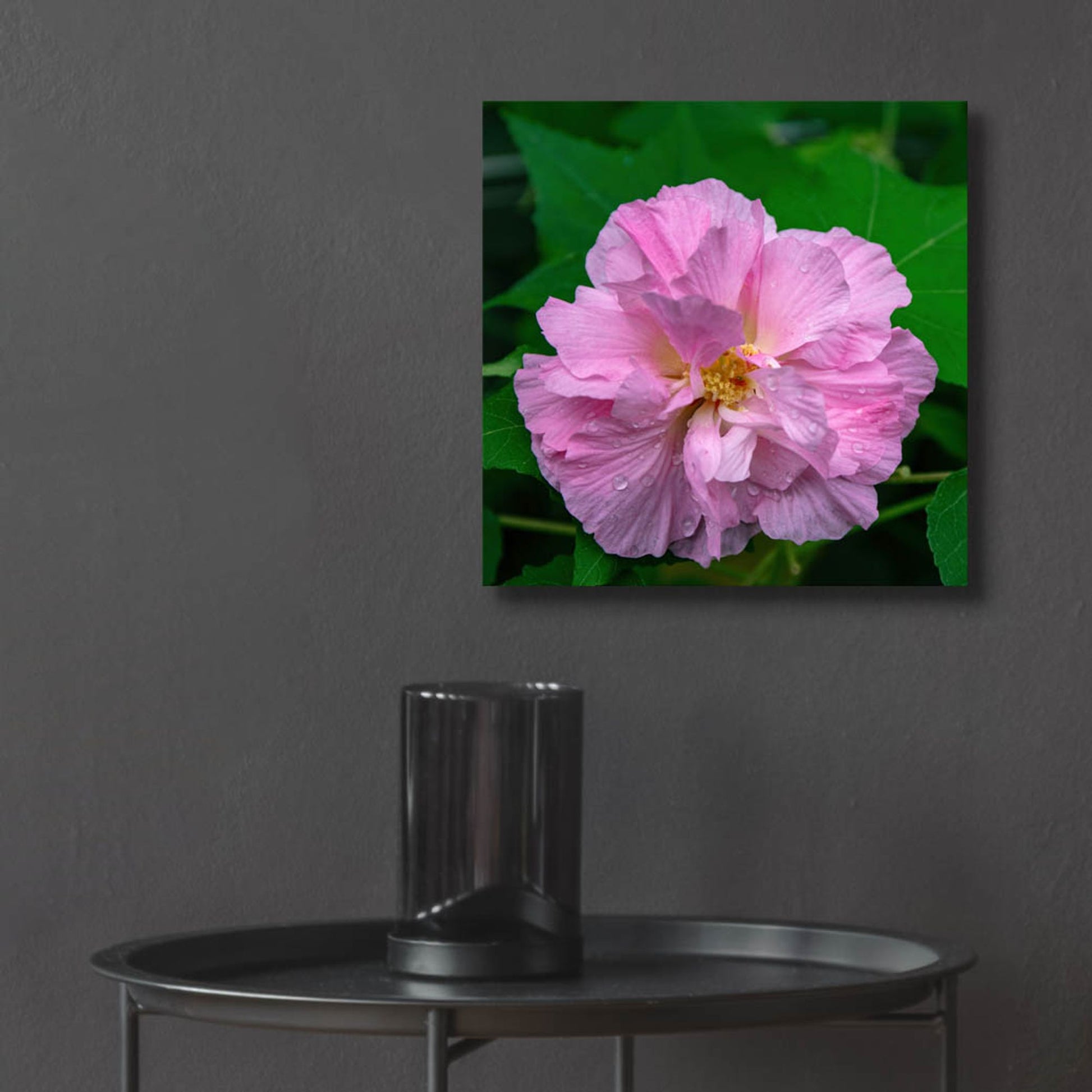 Epic Art 'Flower' by Epic Portfolio, Acrylic Glass Wall Art,12x12