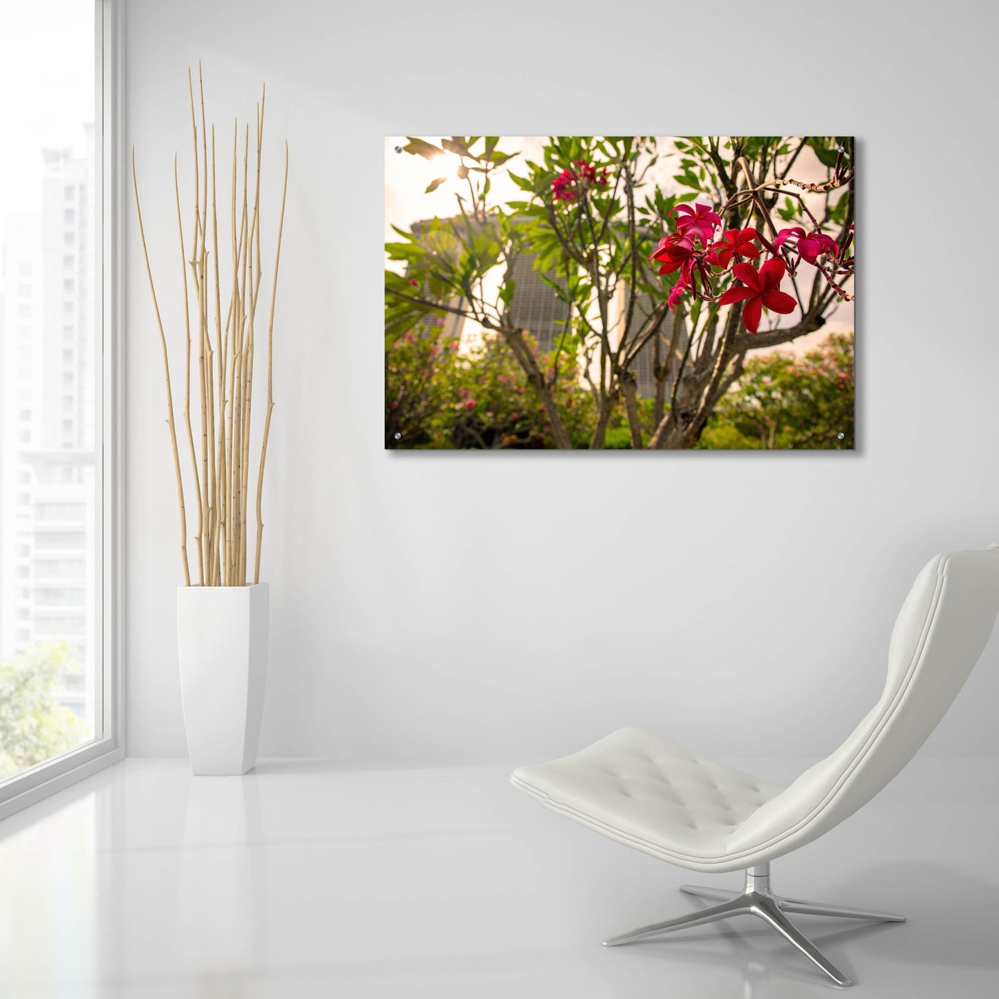 Epic Art 'Singapore Flower' by Epic Portfolio, Acrylic Glass Wall Art,36x24