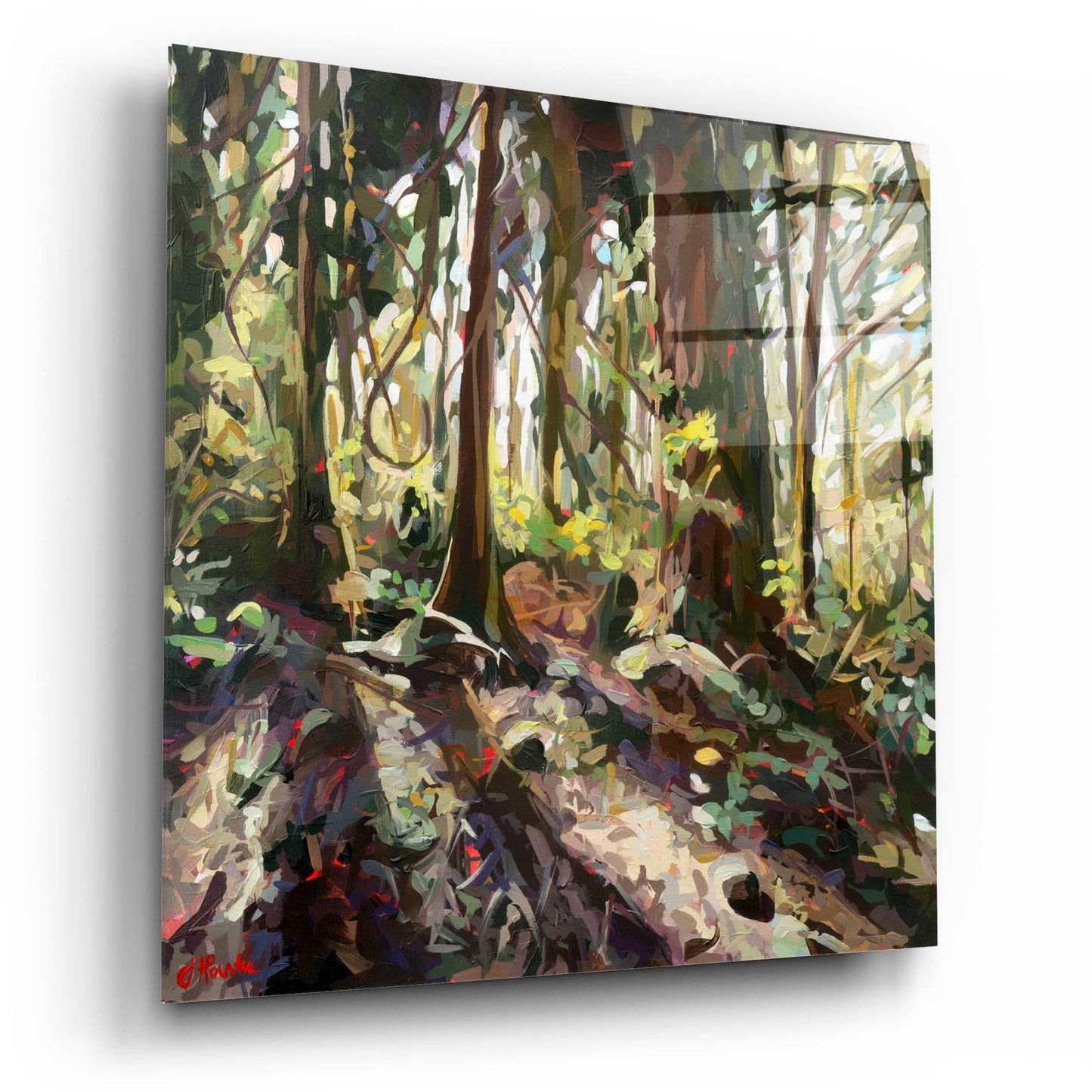 Epic Art 'Cedar Shadows' by Joanne Hastie, Acrylic Glass Wall Art,12x12